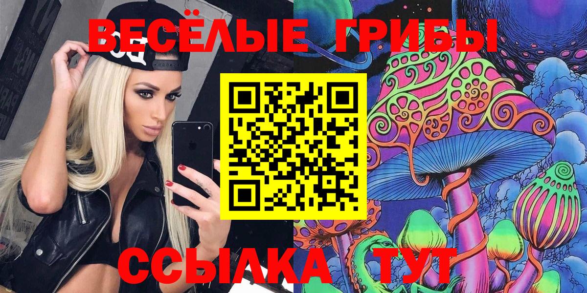 Галлюциногенные грибы MAGIC MUSHROOMS Кудрово