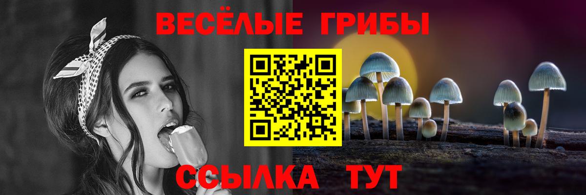 Псилоцибиновые грибы ЛСД  Вход с VPN  Кудрово 